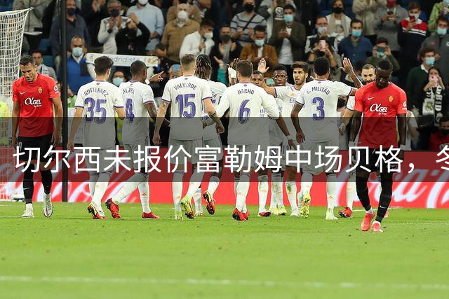 切尔西未报价富勒姆中场贝格，冬窗或再觅强援