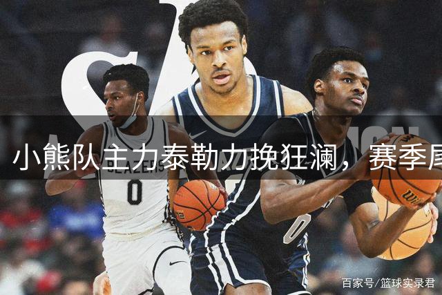 小熊队主力泰勒力挽狂澜，赛季尾声前景微妙